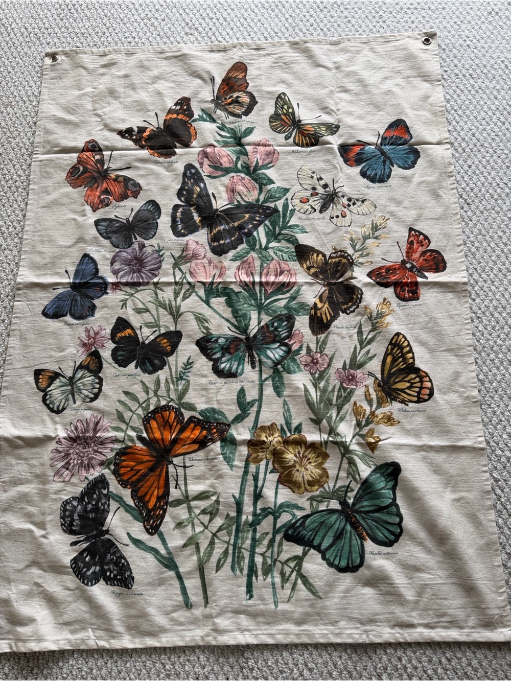 Urban Outfitters 48” x 36” Butterfly Bouquet Tapestry Wall Hanging Art